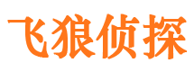 岳西市婚姻出轨调查